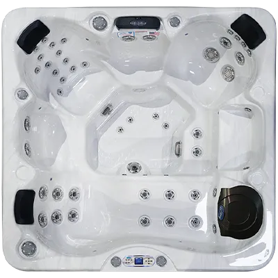 Avalon EC-849L hot tubs for sale in Hemet